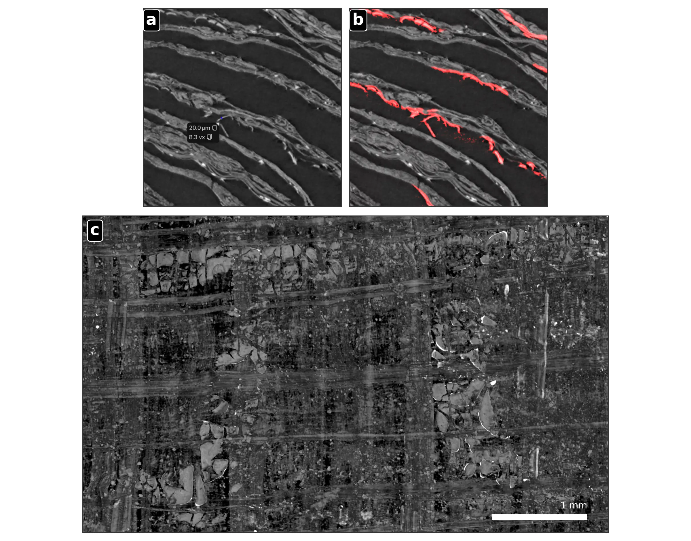 A high-resolution tomographic cross-section of PHerc. Paris 4 with a visible ink deposit, a red three-dimensional ink mask, and its projection onto the flattened surface.